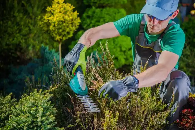 landscaping services Thayer